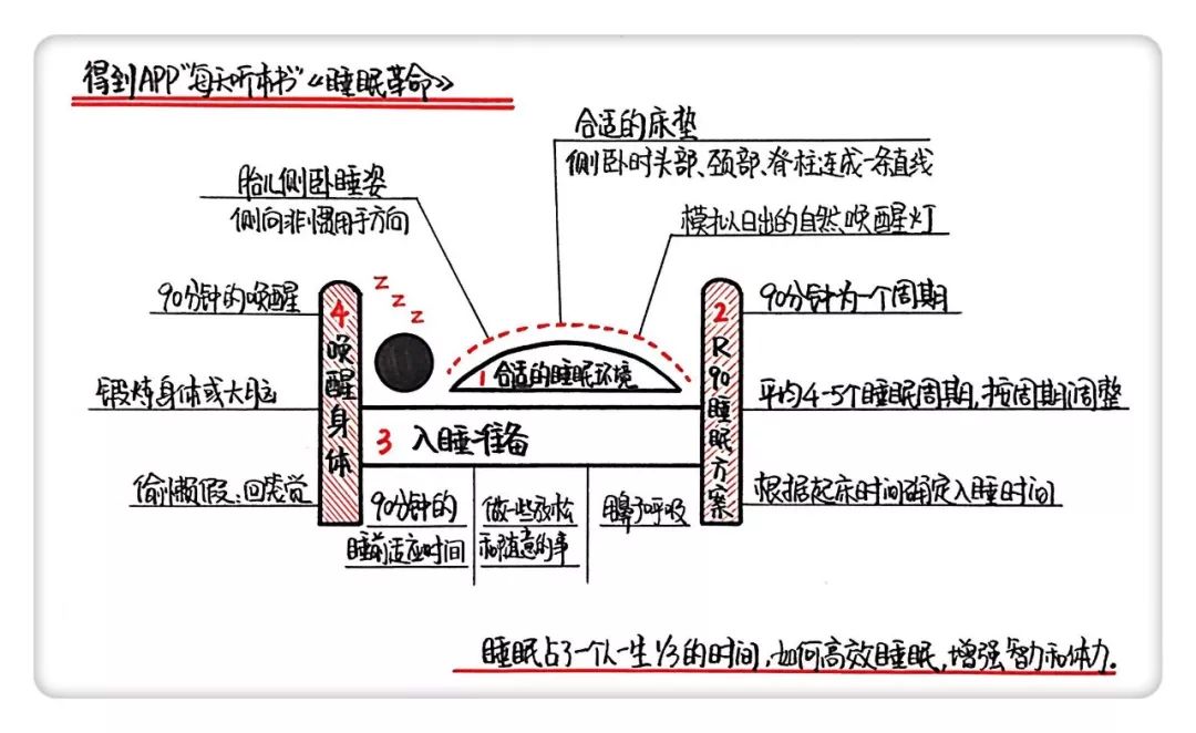 高效睡眠模式对恢复身体功能的科学解析