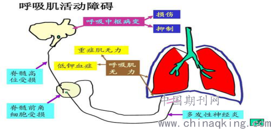 呼吸方式优化，日常活力提升的关键要素