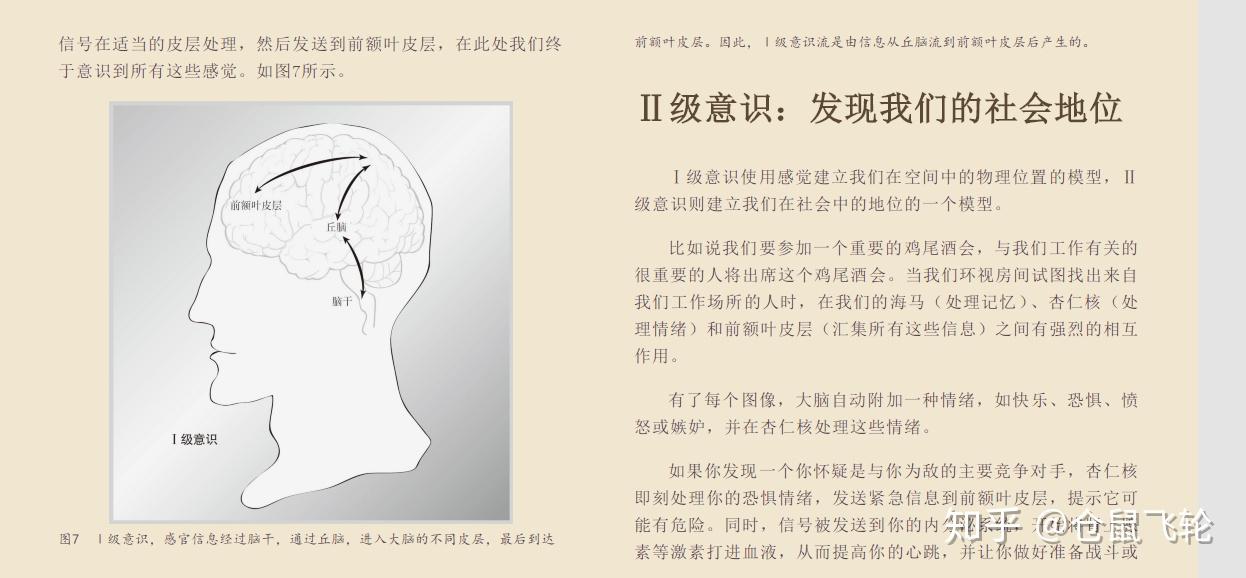 情绪管理在身体系统调节中的关键作用解析