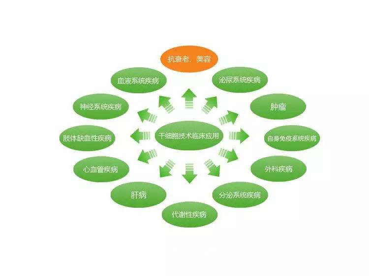 自然环境体验与内在节律恢复的科学联系