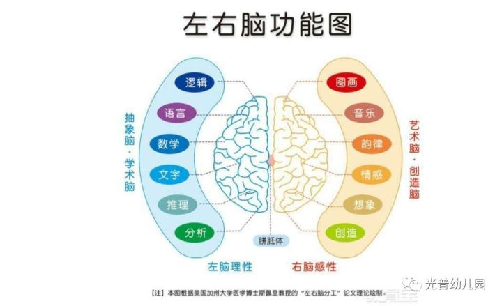 光线强度对神经系统反应速度的实证研究