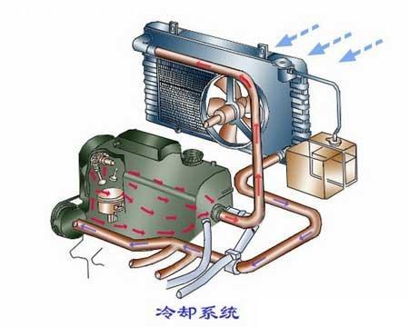 温度变化对身体热量分配机制的科学探究