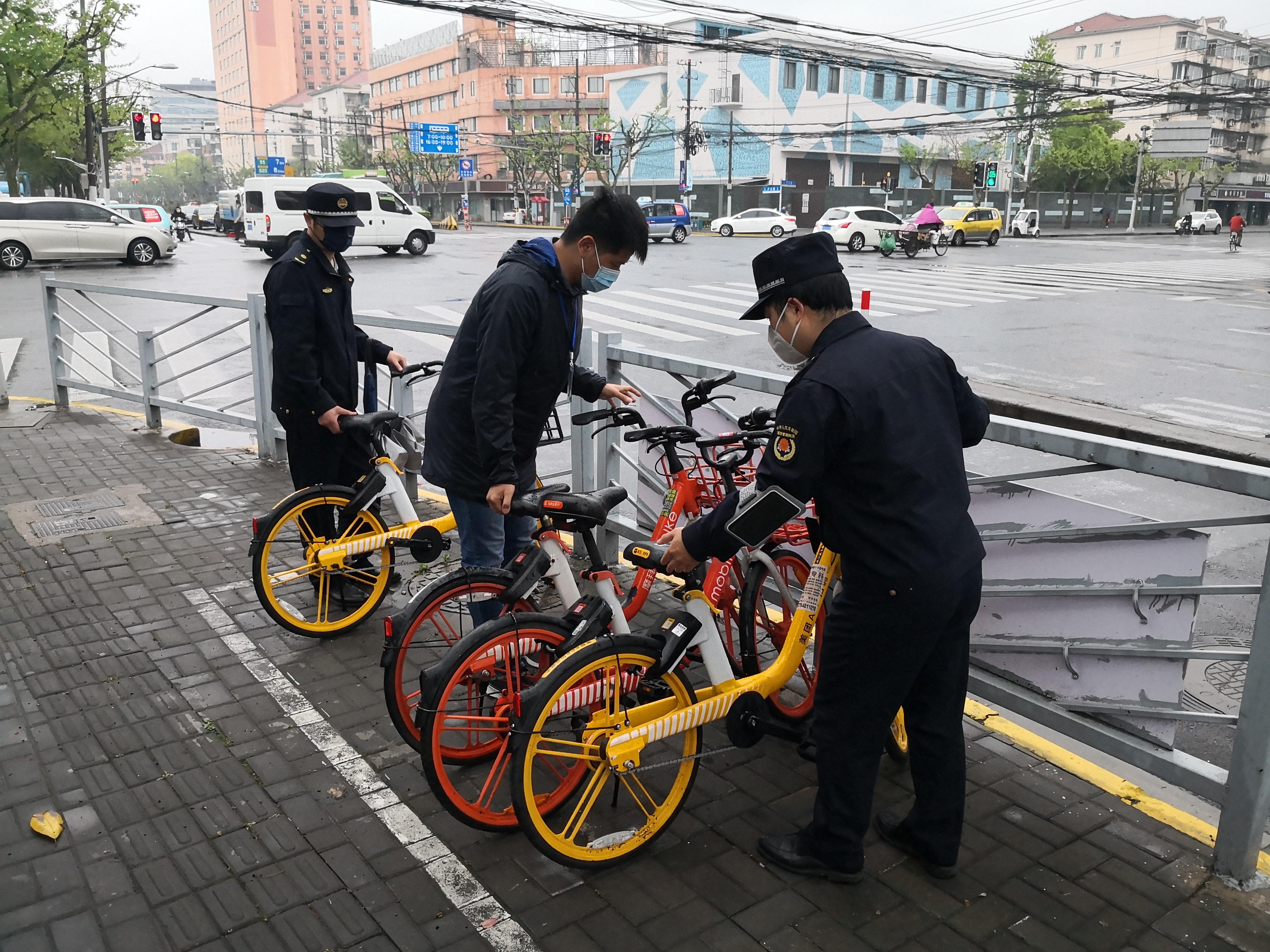 室外步行对大脑功能与思维的增强作用研究揭秘