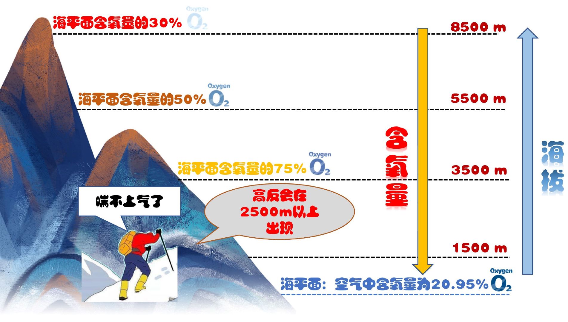 高原适应能力与机体供氧效率实验探讨