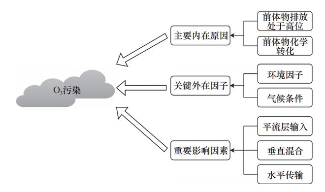 空气污染对身体免疫系统调节机制的影响研究