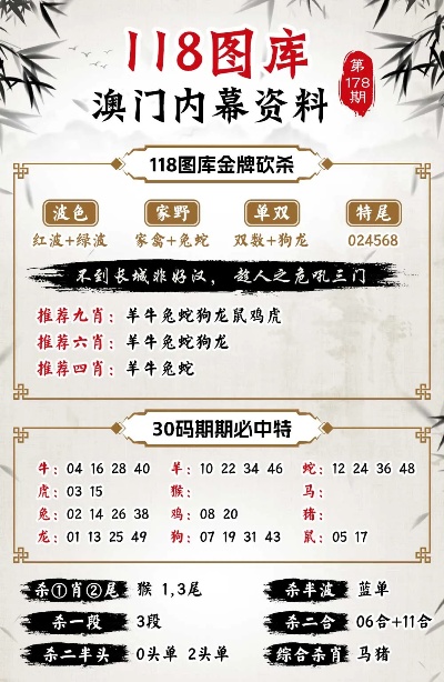 494949澳门今晚开什么,数据驱动计划_精装版43.532