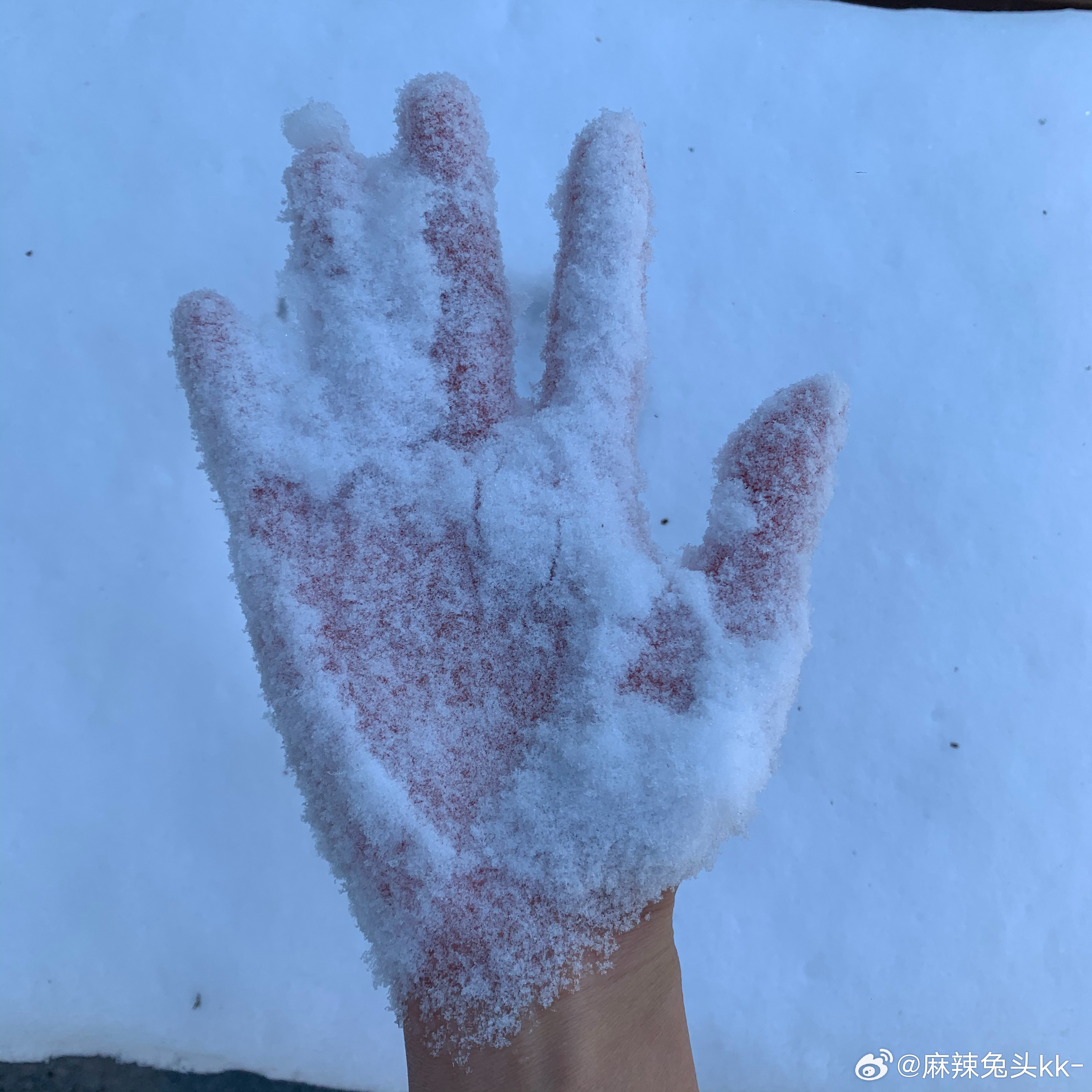 雪花轻触手掌的寒冷感受