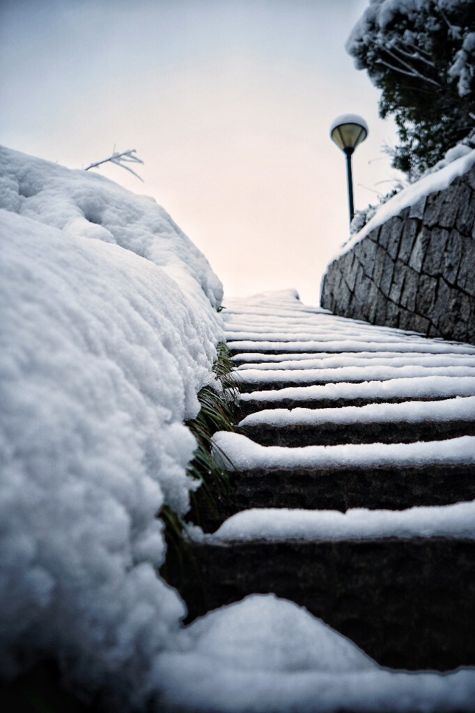 冬日踏雪无痕，心境与反思之旅