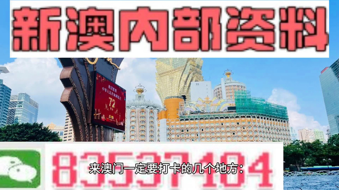 新澳门2024年资料版本,确保问题说明_10DM37.685