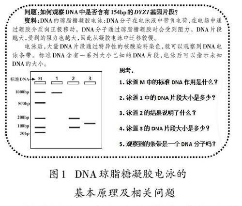 澳门论坛六肖资料网址,高效方案实施设计_户外版85.568