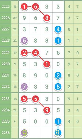 一肖一码精准100一肖中特,实际案例解释定义_SHD29.455