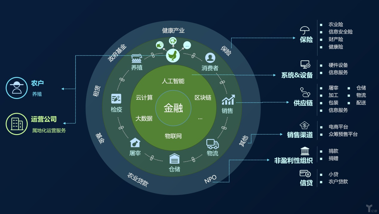 今晚澳门特马开什么今晚四不像,数据分析决策_5DM43.406