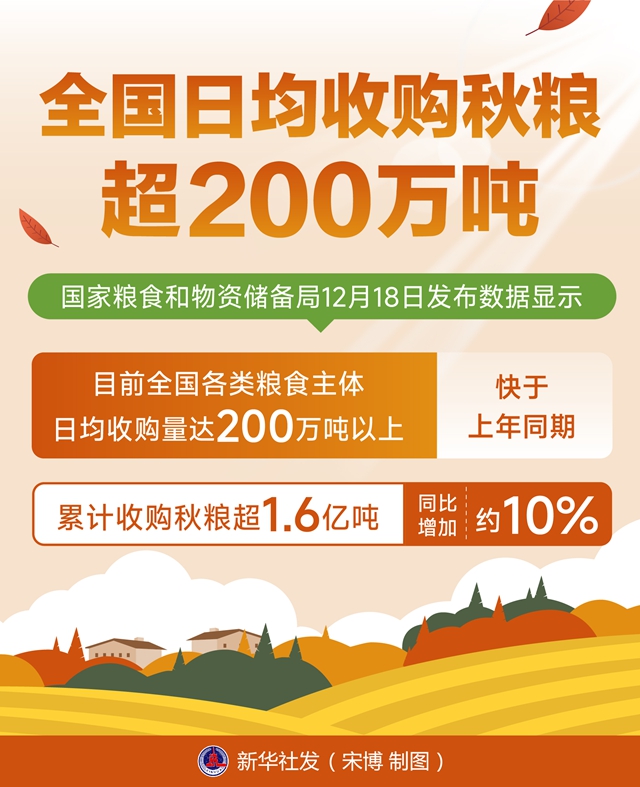 全国秋粮收购超200万吨，粮食市场保持稳定繁荣态势