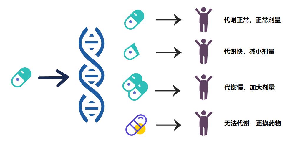 基因组学突破引领个性化医疗的未来变革