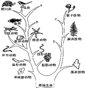 家居定制 第103页