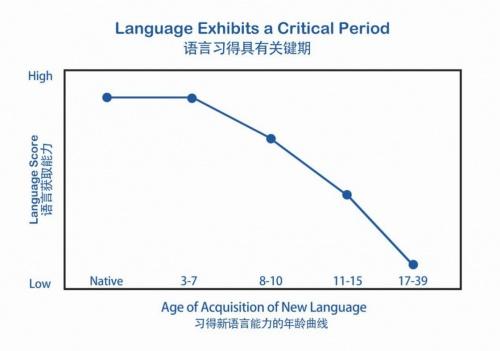 多种语言体验助力早期多语潜力开发