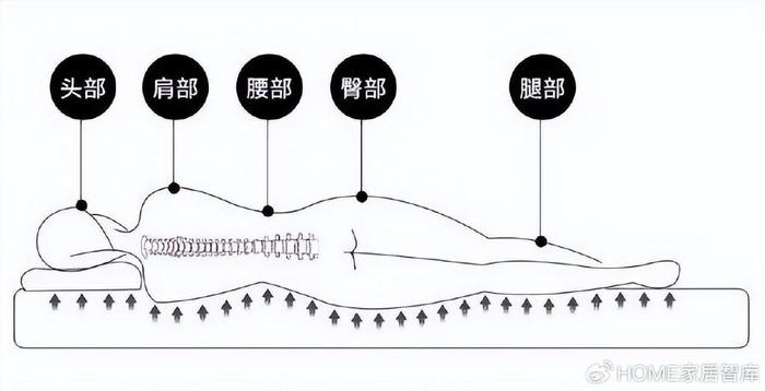 关于选择床垫时脊柱支撑力的关注建议