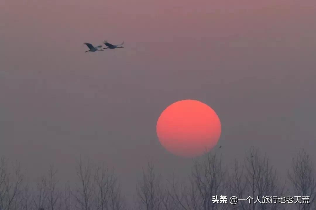 滨海湿地保护与旅游开发协调，守护生物栖息地之道