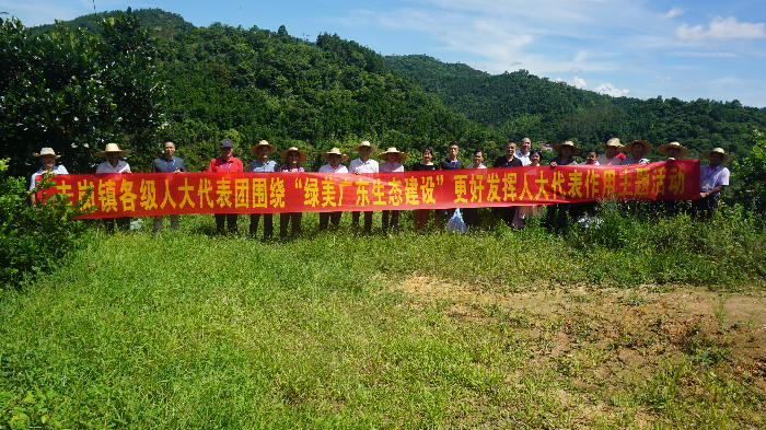 南方水田景观，生态功能与文化的交融辉映