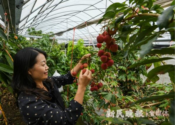 南方雨林保护，居民参与与传统知识运用的重要性