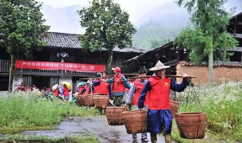 传统农耕技艺复兴与现代教育互动探究