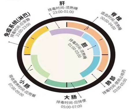 季节性作息调整的独特益处解析