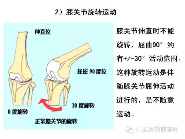 舒缓运动与关节灵活度的提升之道