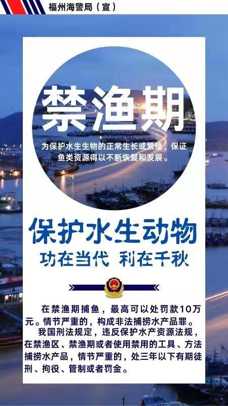 四川破获非法捕猎凤头蜂鹰案，珍稀物种保护正义之战揭秘