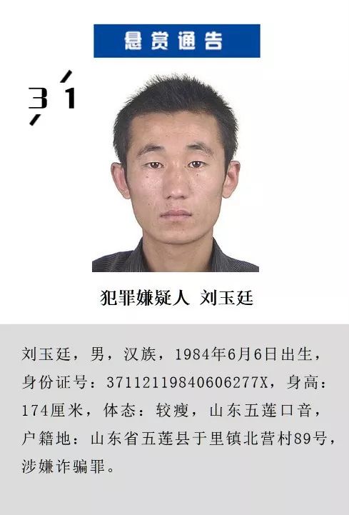 警方悬赏追捕韩妮娜，揭开真相，捍卫社会正义之光