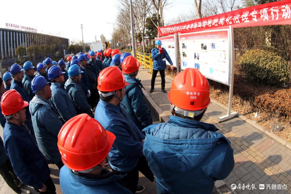 鸟巢模型揭示生态栖息地构造奥秘