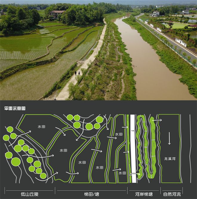 城市湿地恢复技术与艺术设计融合，湿地生态修复的新视角