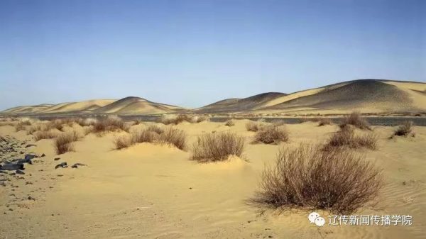 荒漠地区生态恢复与传统文化挖掘路径探索