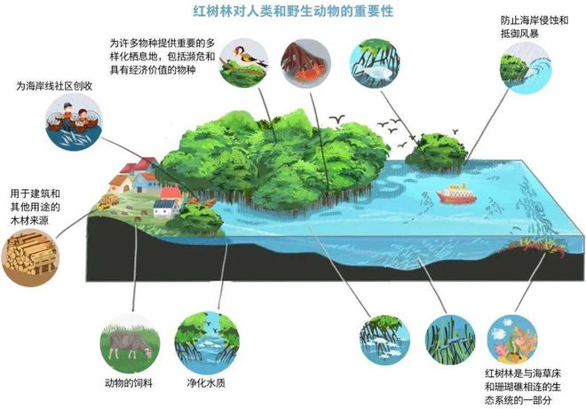 热带岛屿文化保护与多功能开发策略