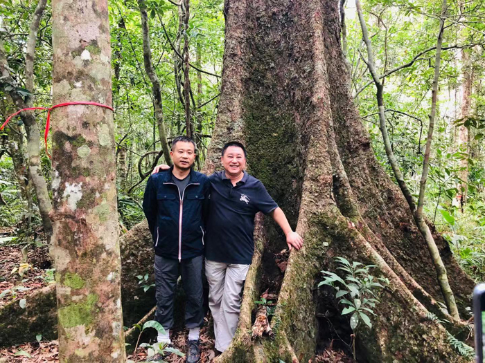 热带雨林艺术创意与生态教育推广实践