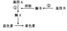 古桥下水流声与情绪调节的韵律研究