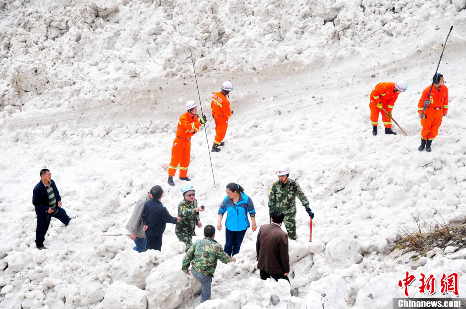 四川雪山滑坠事故，悲剧引发的警示与反思