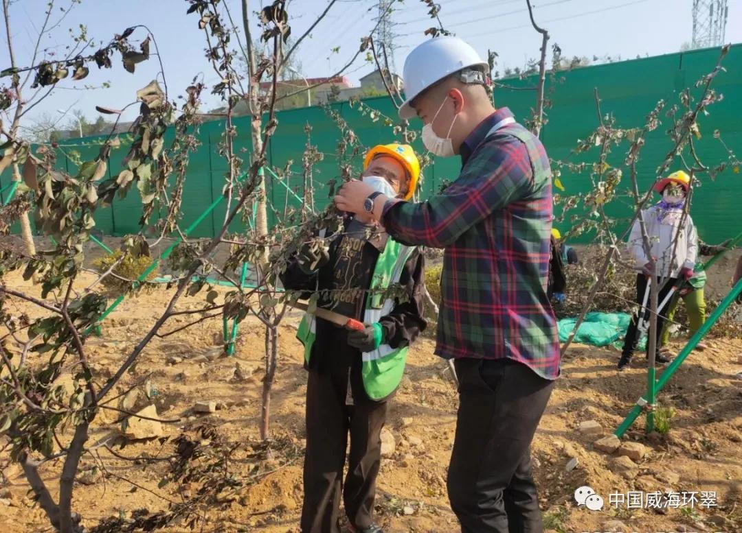 自动浇水装置，助力植物应对假期考验的挑战