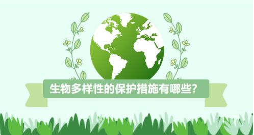 木材生长过程中的生物多样性及环境适应性探究