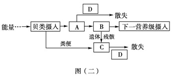 木材化学成分与其生态效益的关联研究