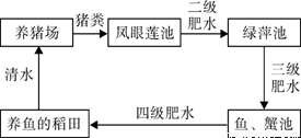 木质纤维环保再利用与循环经济模式探究