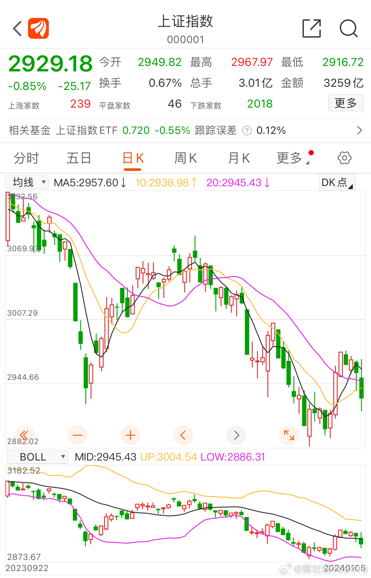 上证指数微跌0.01%，市场走势深度分析与未来展望