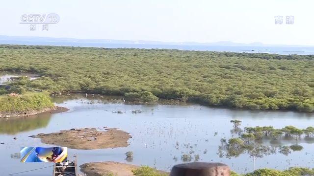 木本植物生物多样性在自然保护区的重要性