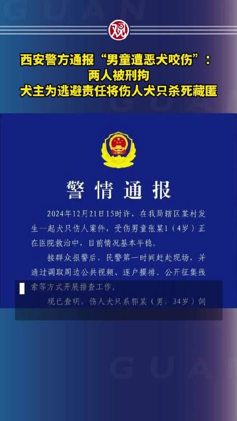 西安男童被恶犬咬伤事件引发反思与行动