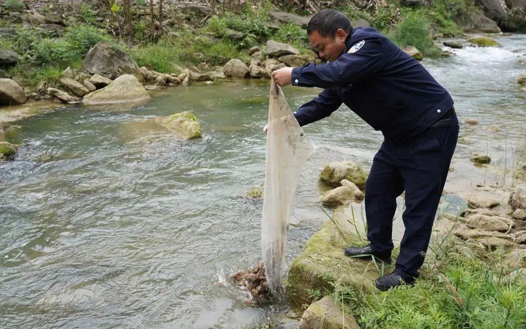 公安部深入长江涉渔场所，守护水域生态安全专项行动启动