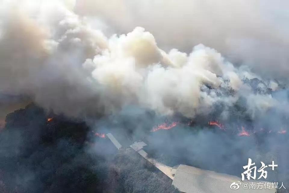 佛山狮山大学城突发山火，危机应对与反思通报