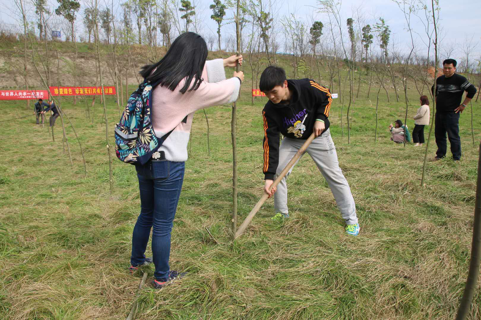 大学生公益植树活动，绿化校园，注入生机