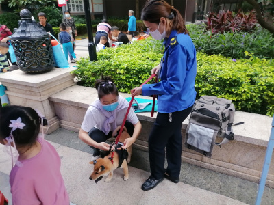 小区宠物管理，规范化制度与和谐邻里关系的探索实践