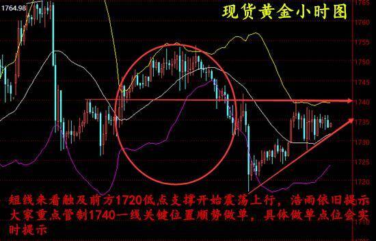 金价避险需求驱动上涨，全球市场反应及未来展望分析