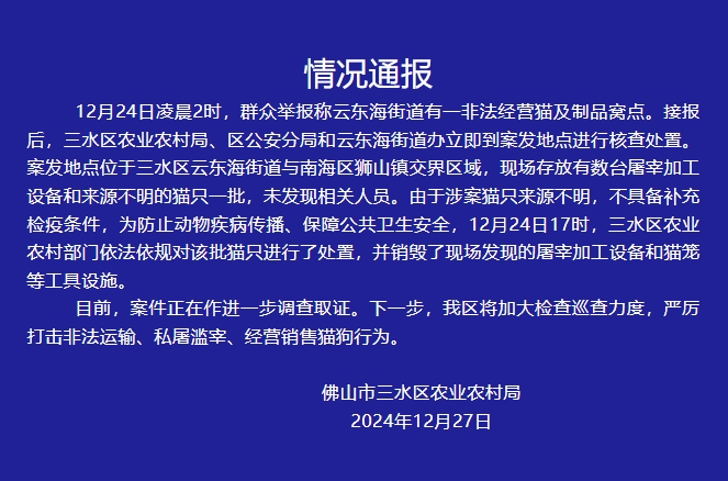 佛山猫溺死事件引发反思，行动的重要性与责任追究