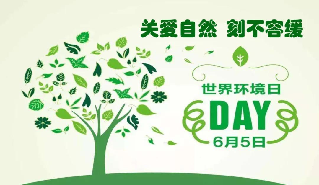 全球生物多样性保护面临紧迫挑战，保护行动刻不容缓